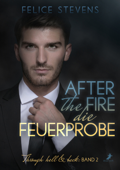 After the fire - die Feuerprobe - Felice Stevens