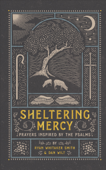 Sheltering Mercy - Ryan Smith