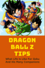 Dragon Ball Z Tips: What Life Is Like For Goku And His Many Companions - Ellsworth Morison