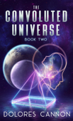The Convoluted Universe Book 2 - Dolores Cannon