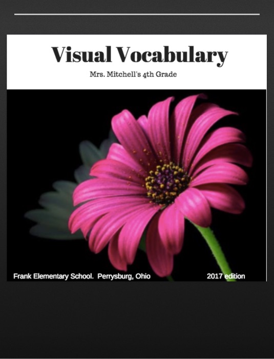 Visual Vocabulary