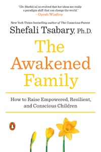 The Awakened Family Book Cover