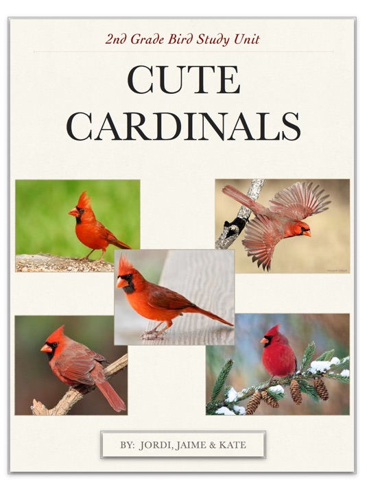All About Cardinals Title