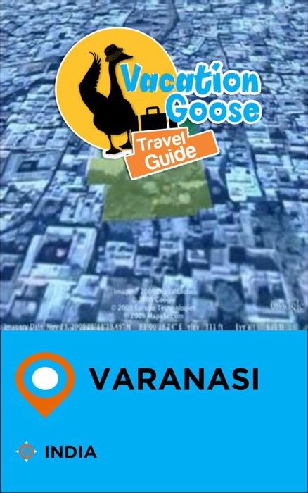 Vacation Goose Travel Guide Varanasi India