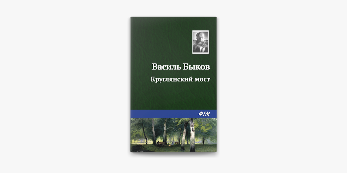 Книга: Круглянский мост