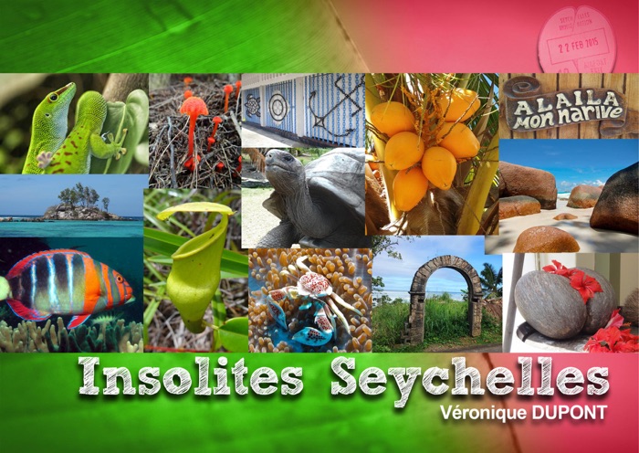 Insolites Seychelles (Guide de voyage - Carnet de voyage )