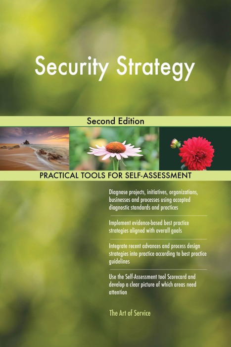Security Strategy Second Edition