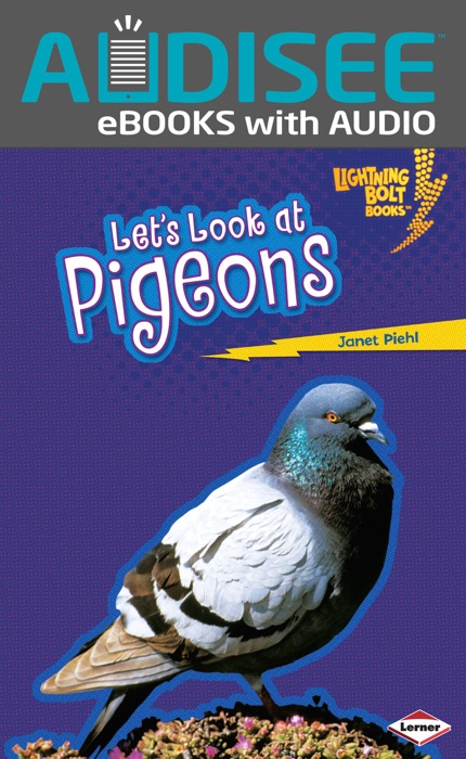 Let's Look at Pigeons (Enhanced Edition)