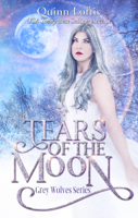 Quinn Loftis - Tears of the Moon artwork