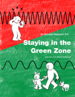 Christian Reichardt - Staying in the Green Zone artwork