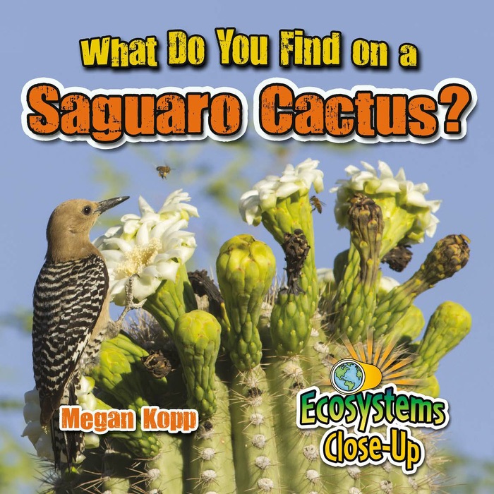 What Do You Find on a Saguaro Cactus?