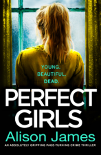 Perfect Girls - Alison James Cover Art