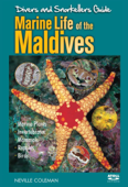 Marine Life of the Maldives - Neville Coleman
