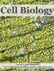 Cell Biology - Jodie Deinhammer