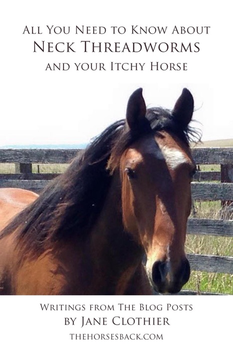 All You Need to Know About Neck Threadworms and Your Itchy Horse