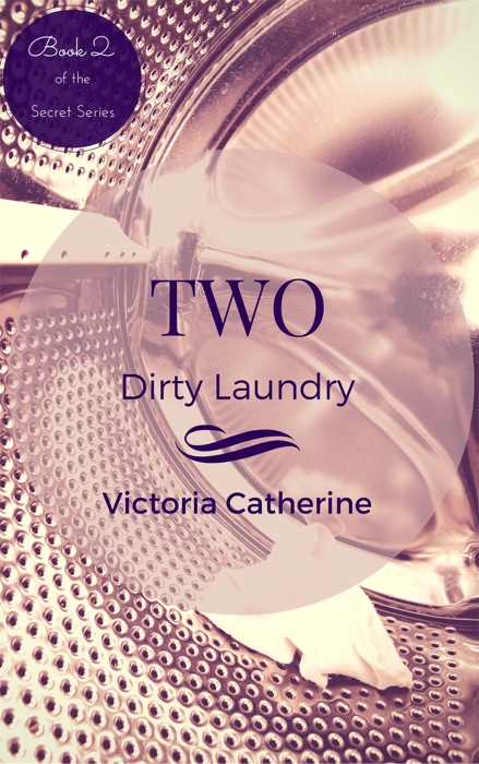 Two: Dirty Laundry (Book Two Of The Short Story Series - The Secret Series)