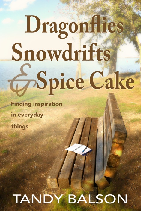 Dragonflies, Snowdrifts & Spice Cake