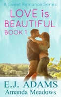 Love is Beautiful Book 1
