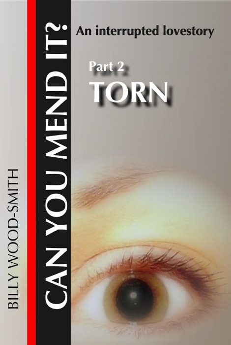 Can You Mend It? Part 2: Torn