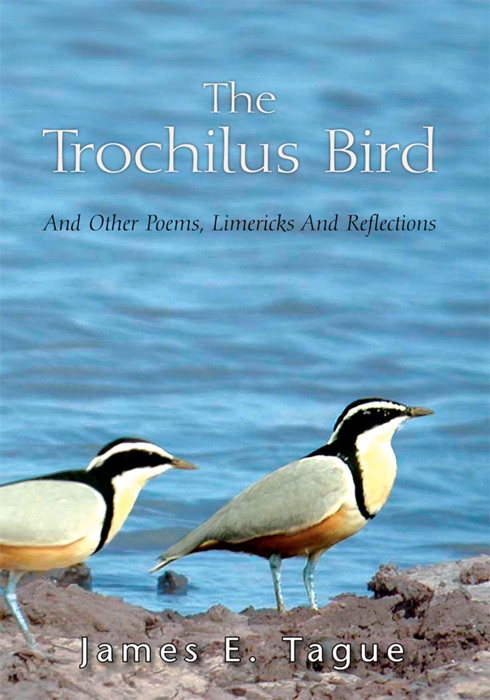 The Trochilus Bird