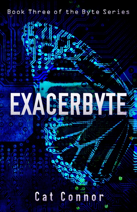 Exacerbyte