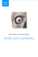 Kenhub - Anatomy flashcards: Orbit and contents artwork