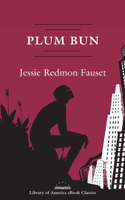 Jessie Redmon Fauset - Plum Bun: A Novel Without a Moral artwork