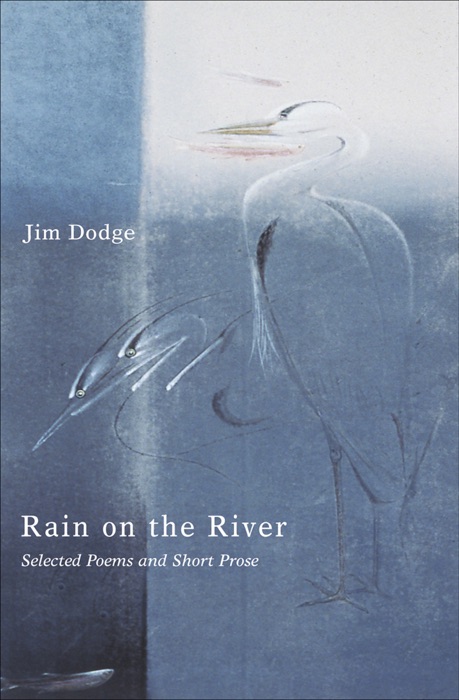 Rain on the River