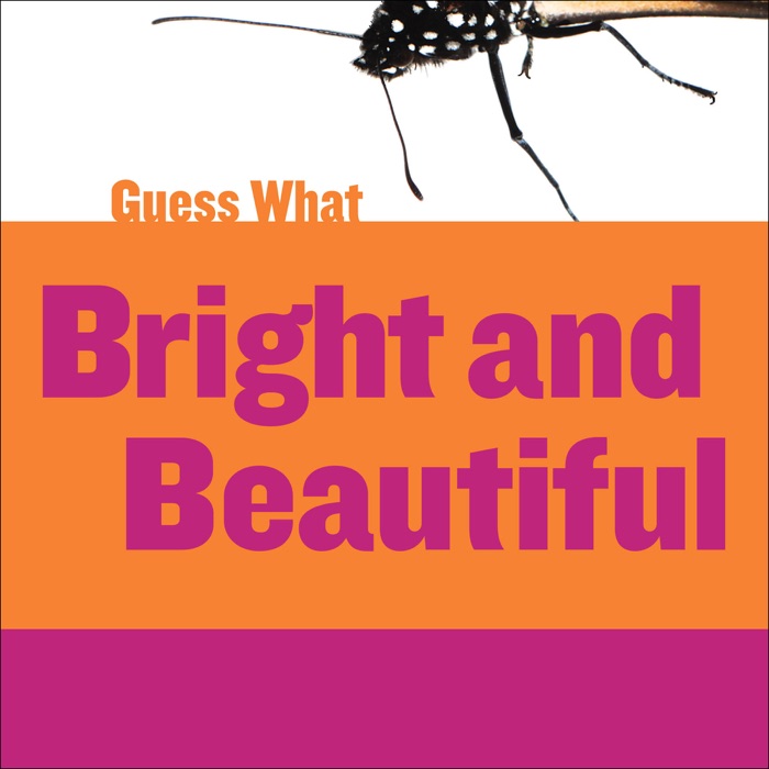 Bright and Beautiful: Butterfly