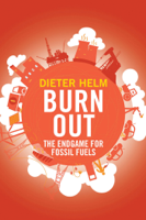 Dieter Helm - Burn Out artwork