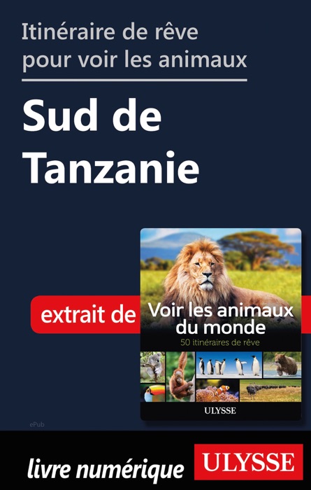 Itinéraire de rêve pour voir les animaux - Sud de Tanzanie