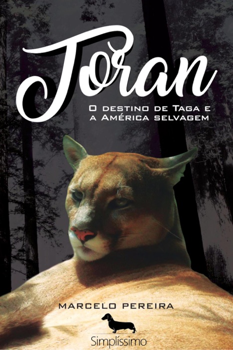 Toran