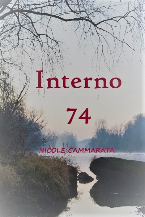 Interno 74