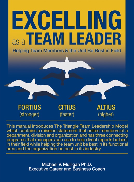 Excelling as a Team Leader