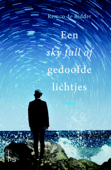 Een sky full of gedoofde lichtjes - Remco de Ridder