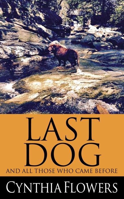 Last Dog And All Those Who Came Before