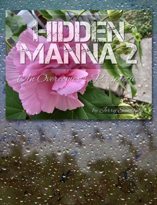 Hidden Manna 2