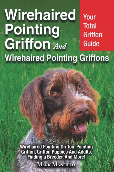 Wirehaired Pointing Griffon and Wirehaired Pointing Griffons