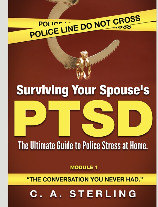 Surviving Your Spouses' PTSD