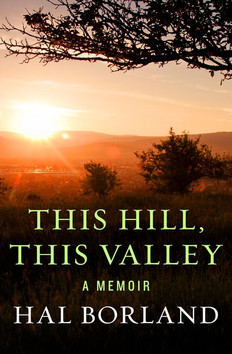This Hill, This Valley