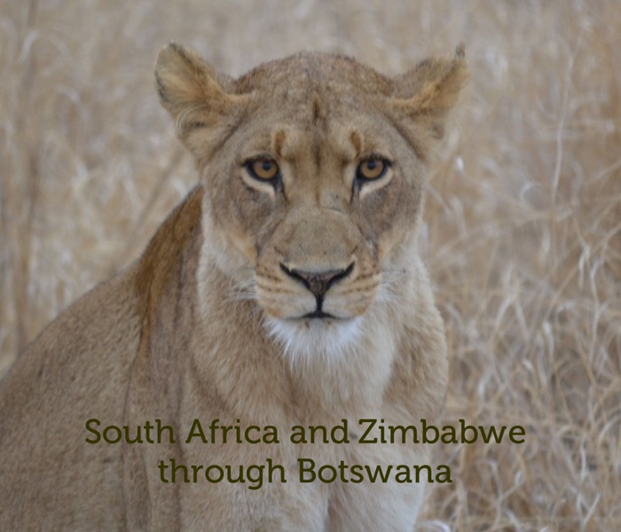 South Africa and Zimbabwe through Botswana
