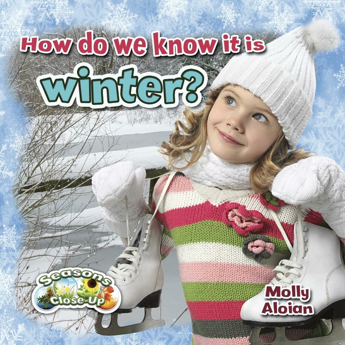 How do we know it is winter?