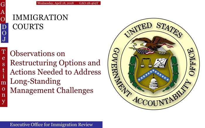 IMMIGRATION COURTS