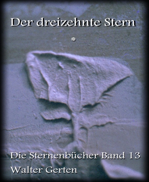 Der dreizehnte Stern