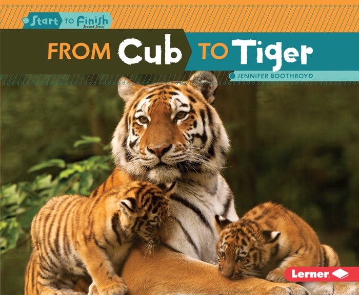 From Cub to Tiger