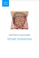 Anatomy flashcards: Small intestine