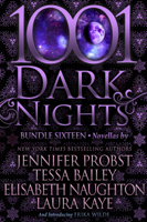 Jennifer Probst, Tessa Bailey, Elisabeth Naughton, Laura Kaye & Erika Wilde - 1001 Dark Nights: Bundle Sixteen artwork