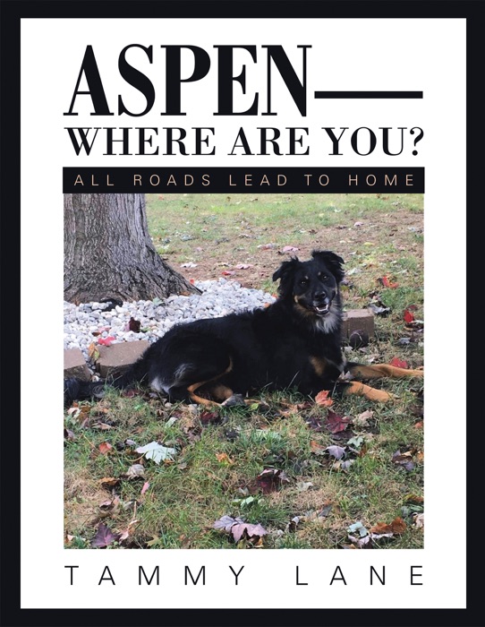 Aspen—Where Are You?