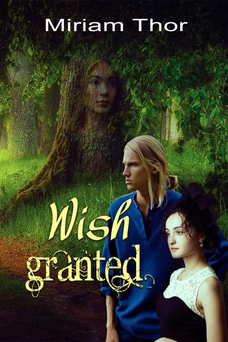 Wish Granted