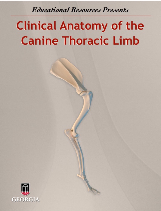 Clinical Anatomy of the Canine Thoracic Limb